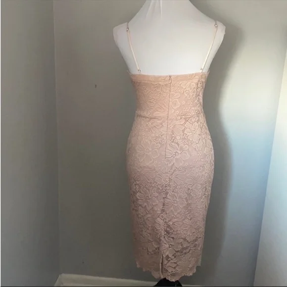 Blossom blush pink midi dress - Picture 3 of 10